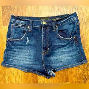 Kendall + Kylie Denim Shorts